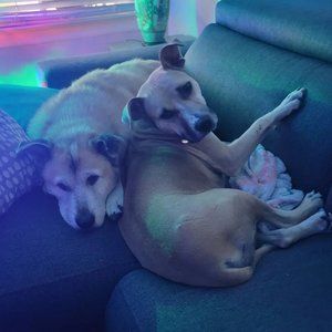 Meet your Posher, Natalie